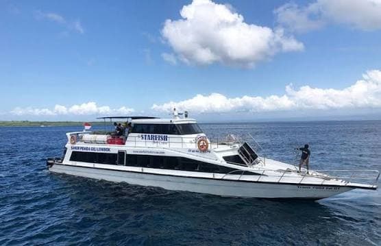 Starfish Fast Cruise 3