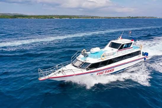 The Tanis Fast Cruise 3